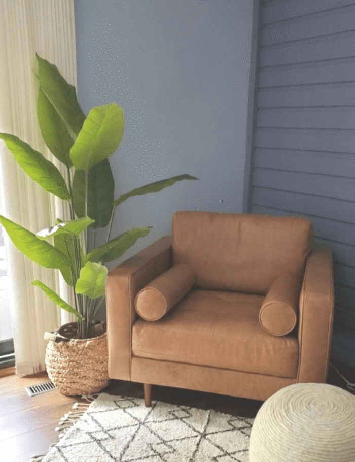 How to care for artificial plants