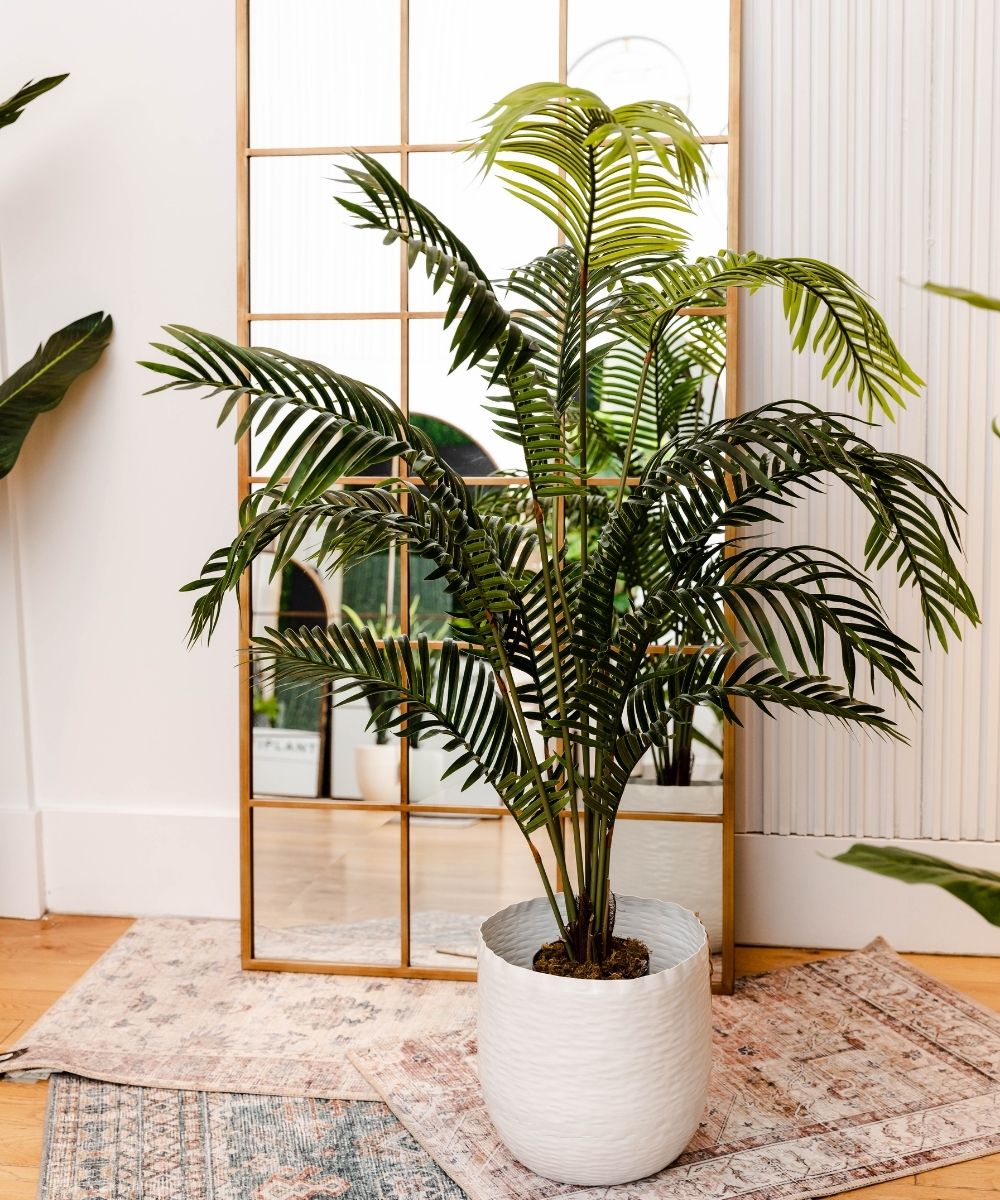 Potted Artificial Plant - Xela Artificial Hawaii Kwai Palm Tree Potted Plant (Multiple Sizes)