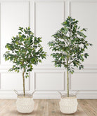 Potted Artificial Plant - Figgi Artificial Ficus Tree Potted Plant (Multiple Sizes)