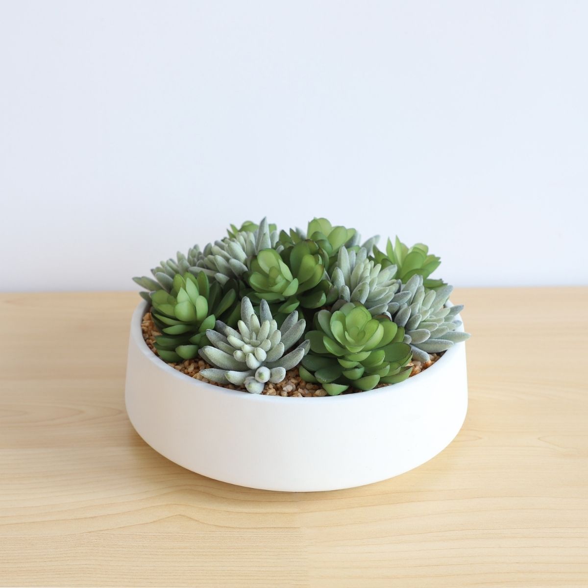 Potted Artificial Plant - Eva Artificial Succulent Arrangement In Low White Pot