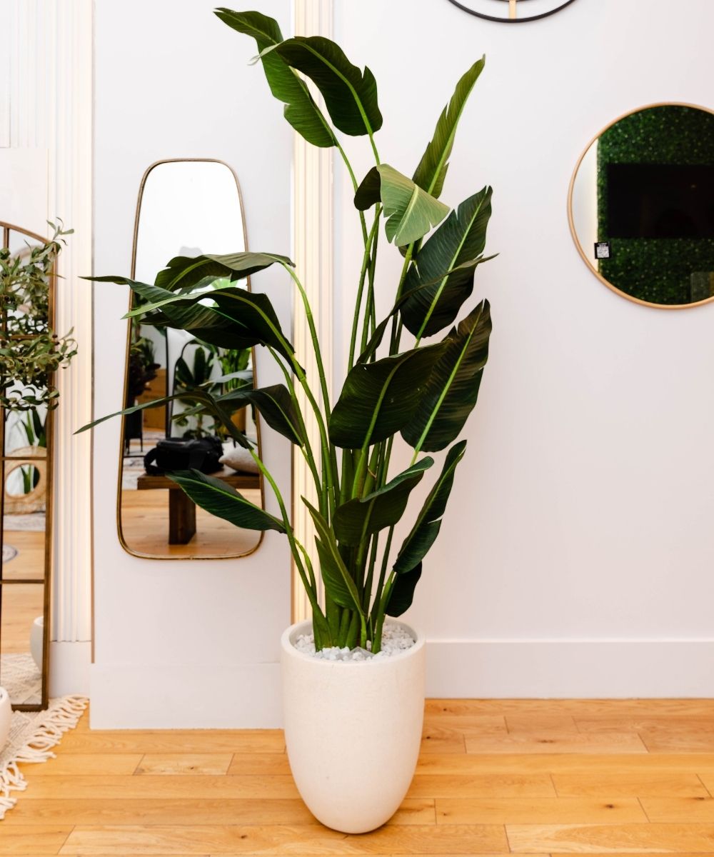 Potted Artificial Plant - Zapo Artificial Bird Of Paradise Potted Plant (Multiple Sizes)