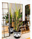 Potted Artificial Plant - Ralu Aloe Artificial Tree Potted Plant (Multiple Sizes)