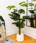 Potted Artificial Plant - Rita Artificial Monstera Potted Plant (Multiple Sizes)