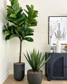 Potted Artificial Plant - Tunja Artificial Century Potted Plant (Multiple Sizes)