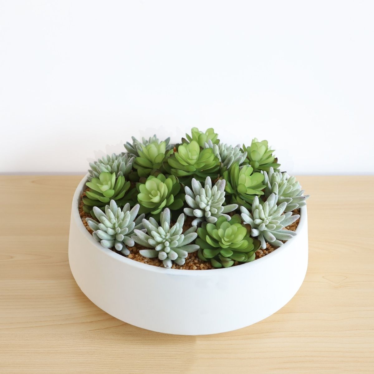 Potted Artificial Plant - Eva Artificial Succulent Arrangement In Low White Pot