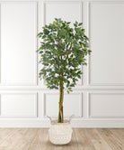 Potted Artificial Plant - Benja Artificial Ficus Tree Potted Plant 6’