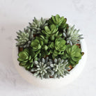 Potted Artificial Plant - Zed Faux Succulent Arrangement In Low White Pot 7.1"