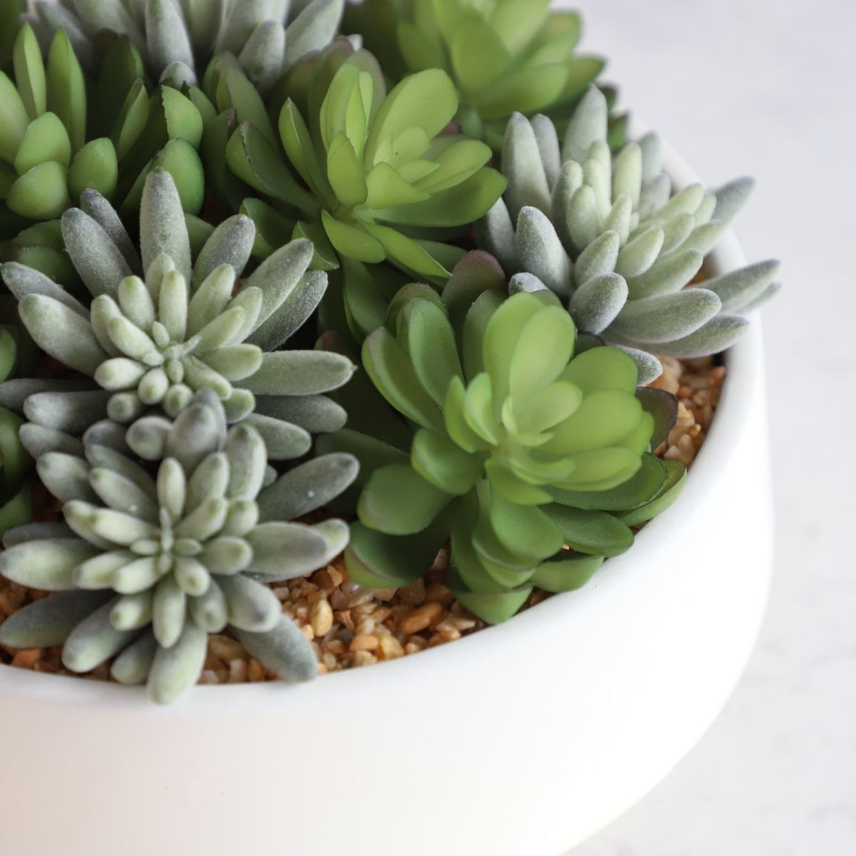 Potted Artificial Plant - Eva Artificial Succulent Arrangement In Low White Pot