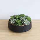 Potted Artificial Plant - Kae Artificial Succulent Arrangement In Low Black Pot