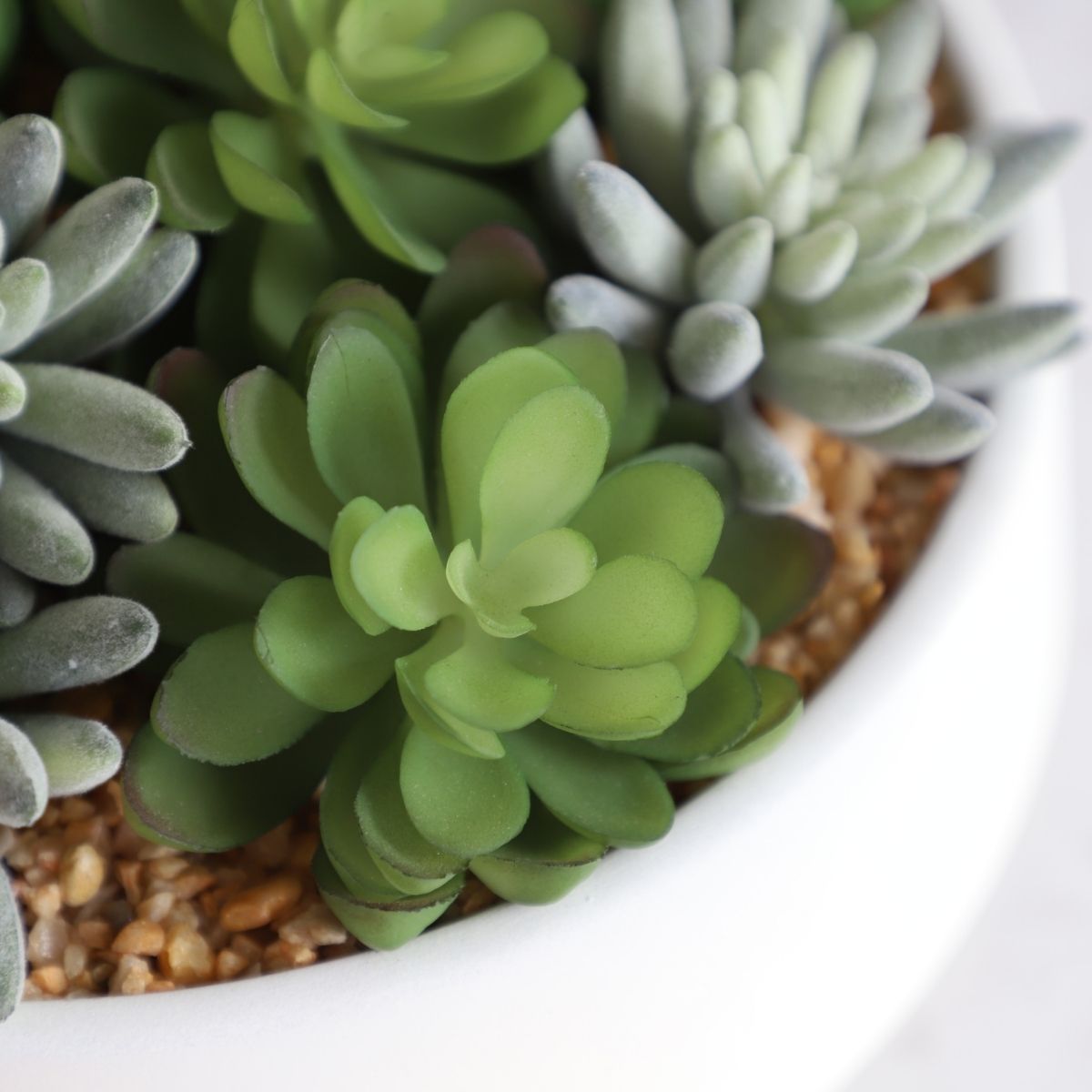 Potted Artificial Plant - Eva Artificial Succulent Arrangement In Low White Pot