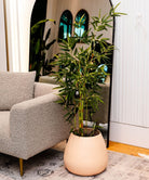 Potted Artificial Plant - Osos Artificial Korea Bamboo Potted Plant (Multiple Sizes)