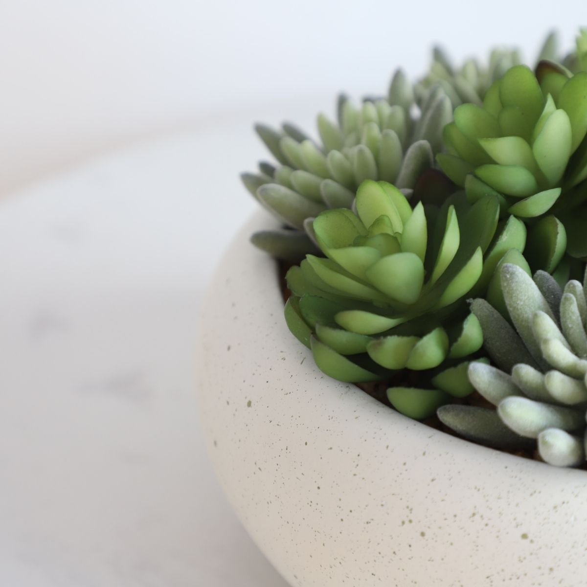 Potted Artificial Plant - Zed Faux Succulent Arrangement In Low White Pot 7.1"