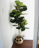 Potted Artificial Plant - Alva Artificial Fiddle Leaf Potted Plant (Multiple Sizes)