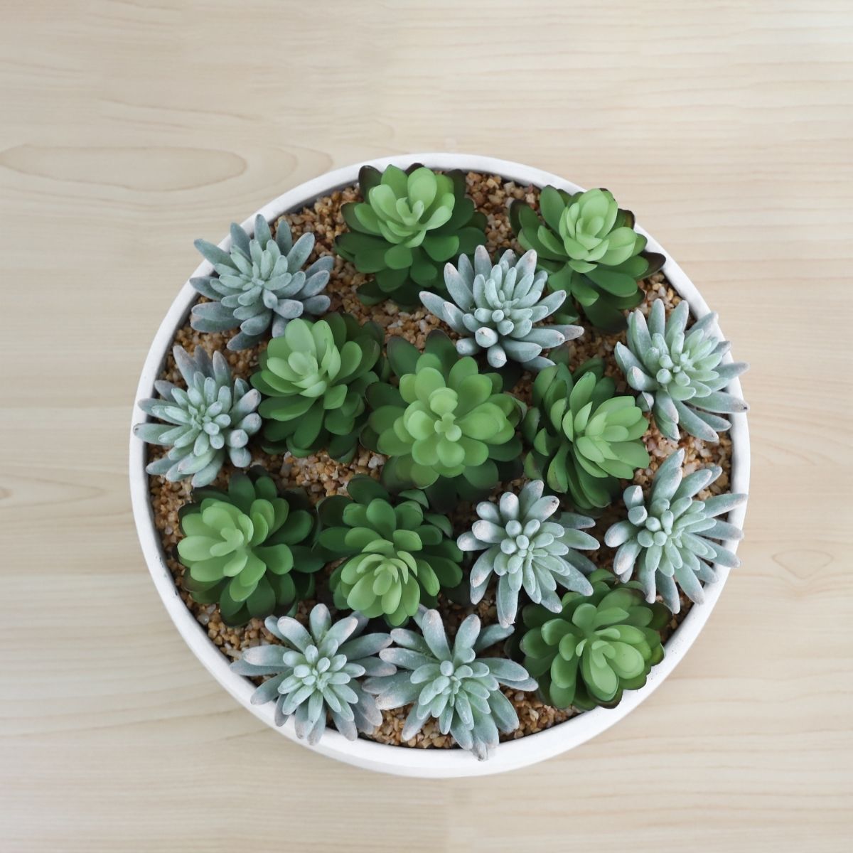 Potted Artificial Plant - Eva Artificial Succulent Arrangement In Low White Pot