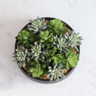 Potted Artificial Plant - Kae Artificial Succulent Arrangement In Low Black Pot