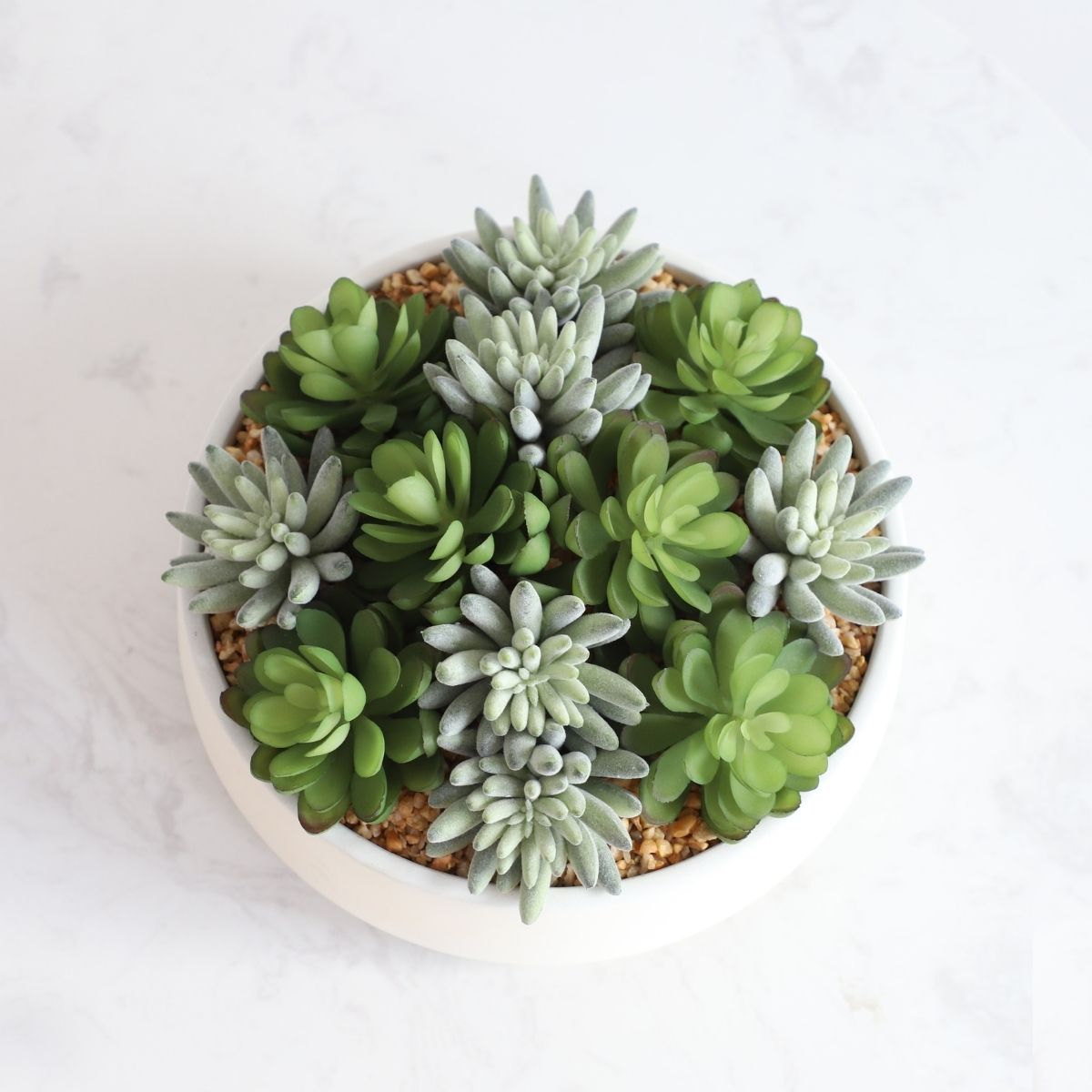 Potted Artificial Plant - Eva Artificial Succulent Arrangement In Low White Pot