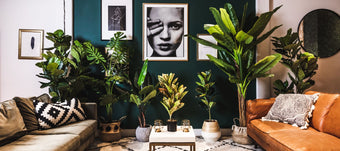 Shop Faux Plant, Artificial Flower, Silk Plant & Rug | Artiplanto ...