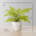 BERA POTTED FAUX FERN ArtiPlanto