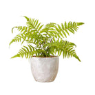 BERA POTTED FAUX FERN ArtiPlanto