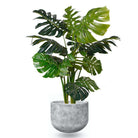 BERTO CEMENT PLANTER 15'' ArtiPlanto