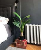 LOLA Artificial Bird Of Paradise Potted Plant 3' Potted Artificial Plant ArtiPlanto 