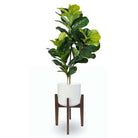 BONI WHITE MID - CENTURY CEMENT PLANTER WITH WOODEN STAND ArtiPlanto