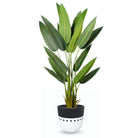 CAIRO CEMENT PLANTER (multiple sizes) ArtiPlanto