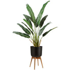 COYO - Brass Turned Wood Leg Planter Black (Multiple Sizes) ArtiPlanto