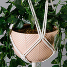 Elrey Faux Potted Macrame Hanging Plant (4.7 Feet) ArtiPlanto