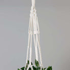 Elrey Faux Potted Macrame Hanging Plant (4.7 Feet) ArtiPlanto