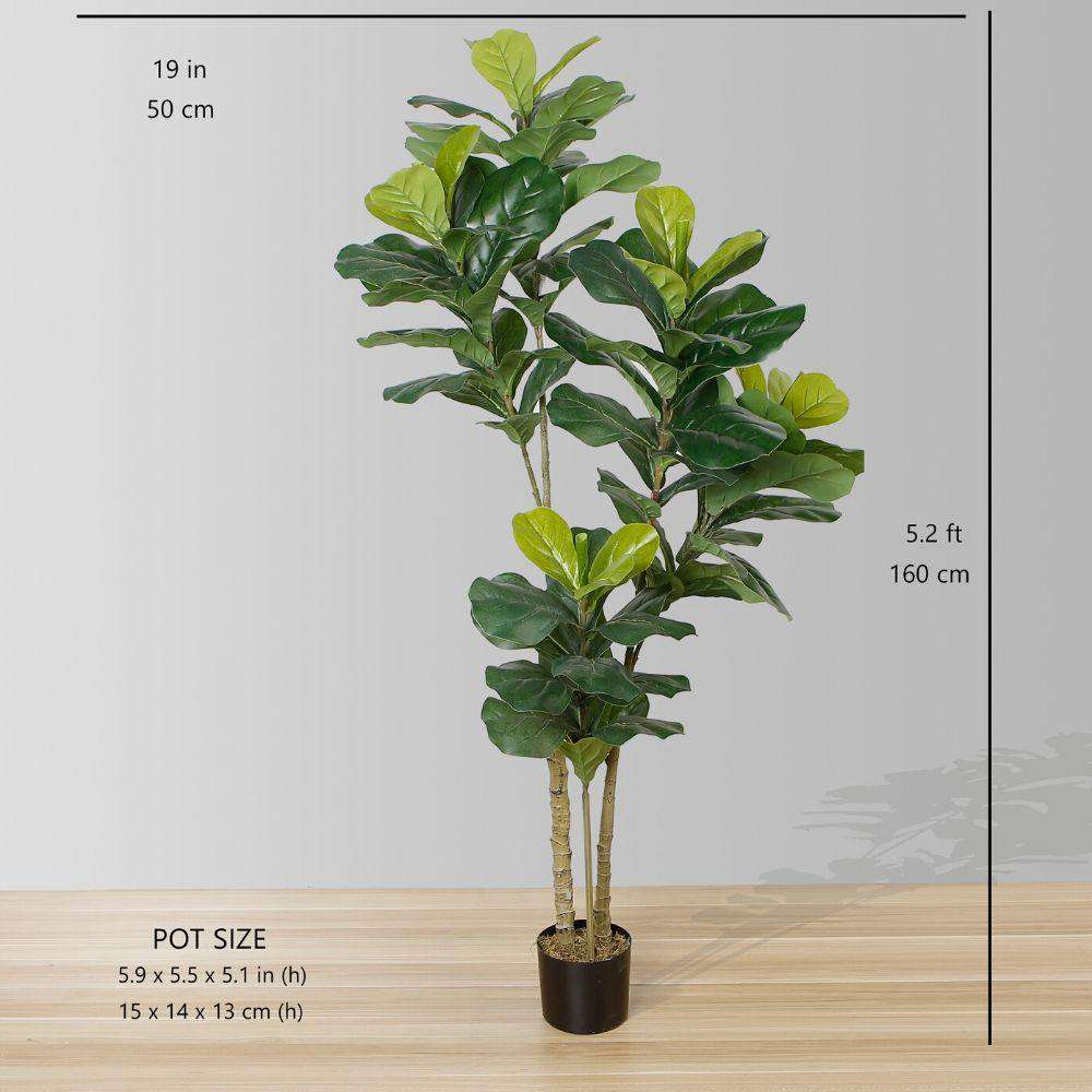 Planta Artificial A.Ficus Lyrata Real Toque X42 (1m) - Florescer-Decor