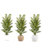 GALI ARTIFICIAL FERN POTTED PLANT 5' ArtiPlanto