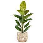 IRMA Water Hyacinth Planter ArtiPlanto