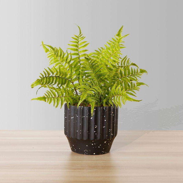 Bera Potted Faux Fern