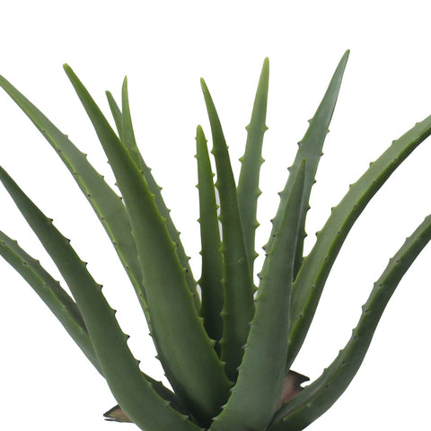 Artificial Aloe Vera Potted Plant - Multiple Sizes | Artiplanto ...