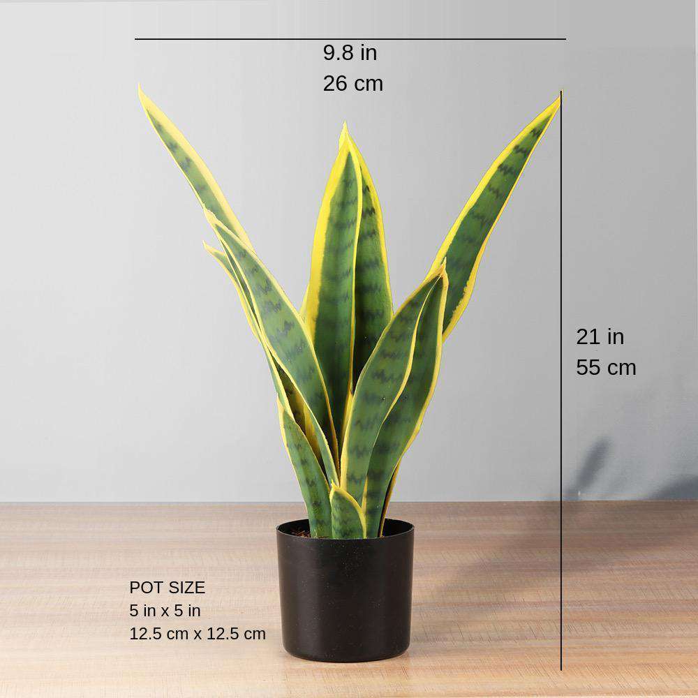 Artificial deals snake plant