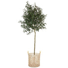 LUPE WATER HYACINTH PLANTER ArtiPlanto