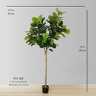 MILA ARTIFICIAL FIDDLE LEAF POTTED PLANT (MULTIPLE SIZES) ArtiPlanto