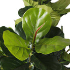 MILA ARTIFICIAL FIDDLE LEAF POTTED PLANT (MULTIPLE SIZES) ArtiPlanto