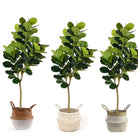 MILA ARTIFICIAL FIDDLE LEAF POTTED PLANT (MULTIPLE SIZES) ArtiPlanto