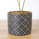 Madero Potted Faux Olive Plant ArtiPlanto