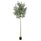 OLIDIA ARTIFICIAL OLIVE TREE 10' ArtiPlanto