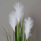 OZIE ARTIFICIAL REED GRASS POTTED PLANT 35'' ArtiPlanto