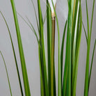 OZIE ARTIFICIAL REED GRASS POTTED PLANT 35'' ArtiPlanto