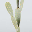 PENKA Artificial Cactus Potted Plant 26'' ArtiPlanto