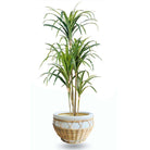 PURA CERAMIC PLANTER 12'' ArtiPlanto