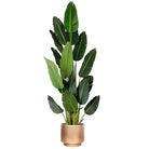 Sagi - Brass Mid-Century Floor Planter (Multiple Sizes) ArtiPlanto