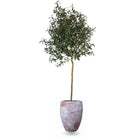 TORRES PLANTER 11'' ArtiPlanto