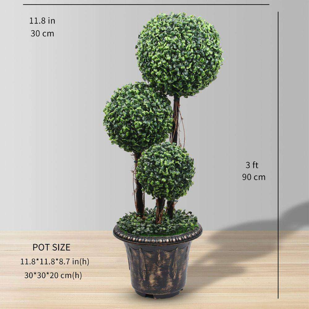 Potted boxwood 2024